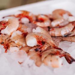 Gulf USA Shrimp Fresh U10-15Ct Gulf USA LB